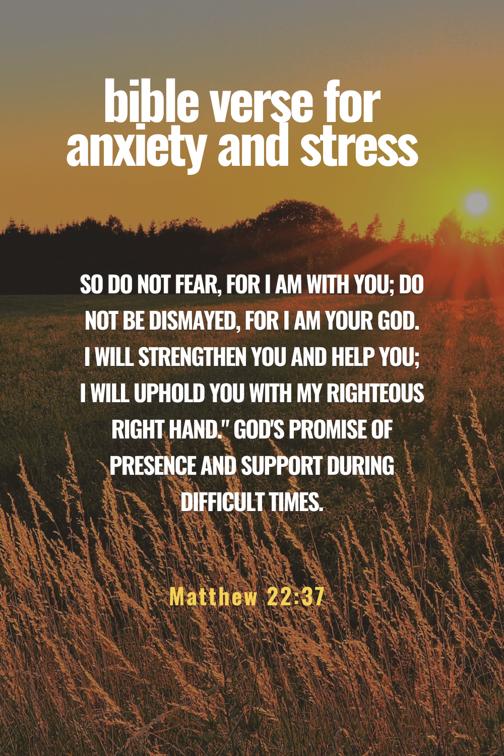 Bible Verses for Anxiety and stress