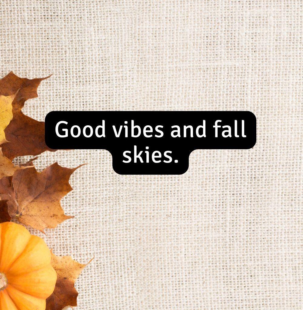 Cute Short Fall Sayings to Brighten Your Day