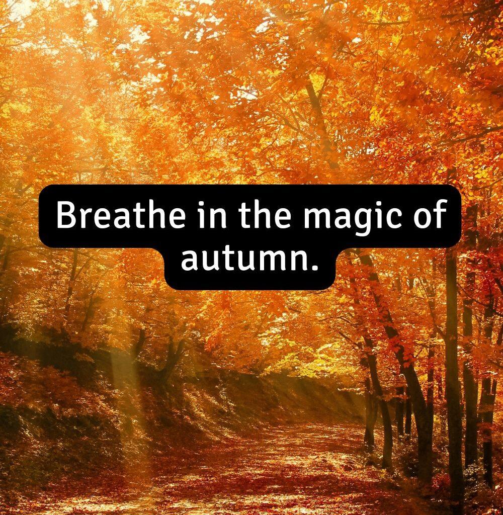 Short Inspirational Fall Quotes