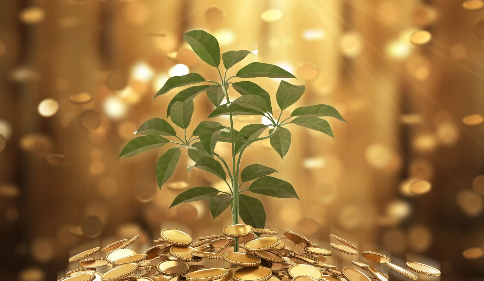 I Am a Millionaire Affirmations: Money, Abundance